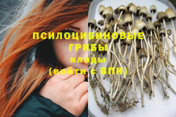 мяу мяу мука Навашино