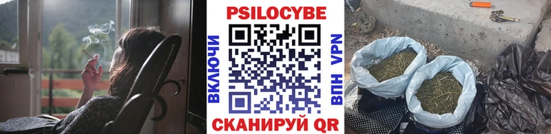 дарнет шоп  Темников  Галлюциногенные грибы MAGIC MUSHROOMS 
